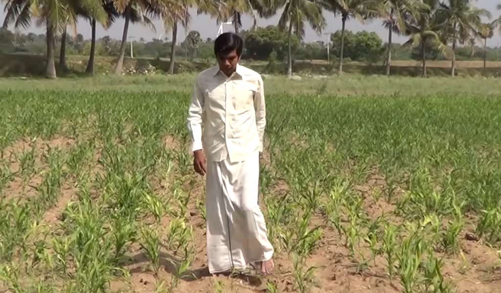 Traditional Clothing for Men in India