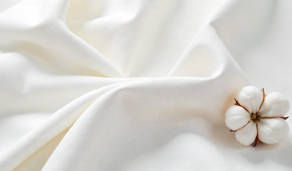 What is Supima Cotton